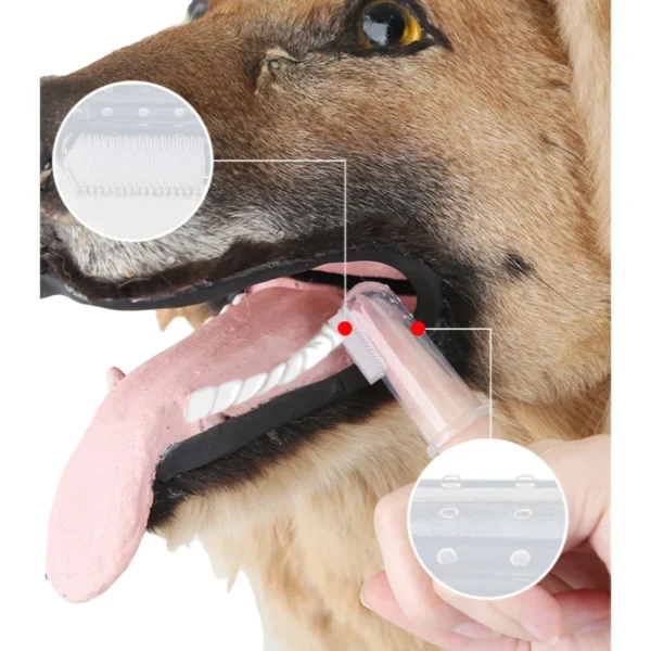 1Pcs Pet Silicone Finger Cover Toothbrush Cat and Dog Brushing Tool Pet Teeth and Oral Cleaning Product Pet Supplies Accessories - Image 6